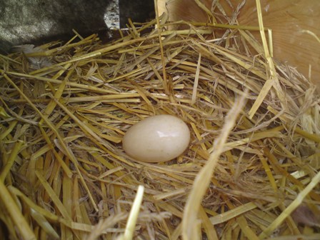 London got into my soul and laid its eggs there.